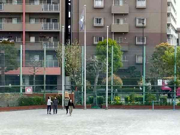 IMG20250408082452_20250408150856