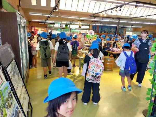 IMG20250729121530_20250729130318