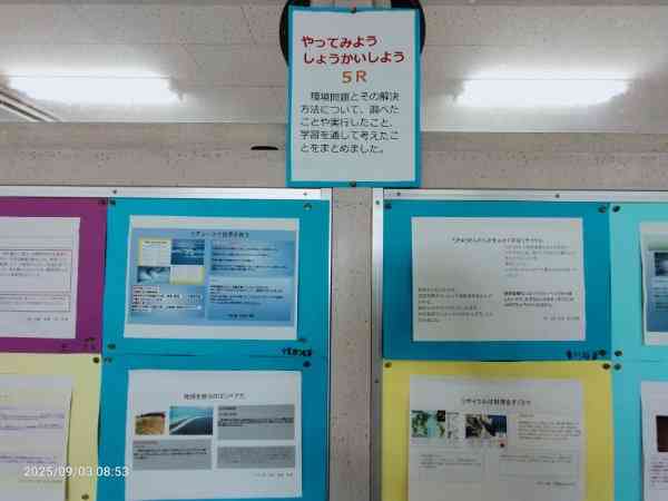 IMG20250903085317_20250903175358